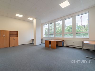 Pronájem kanceláře 39 m²