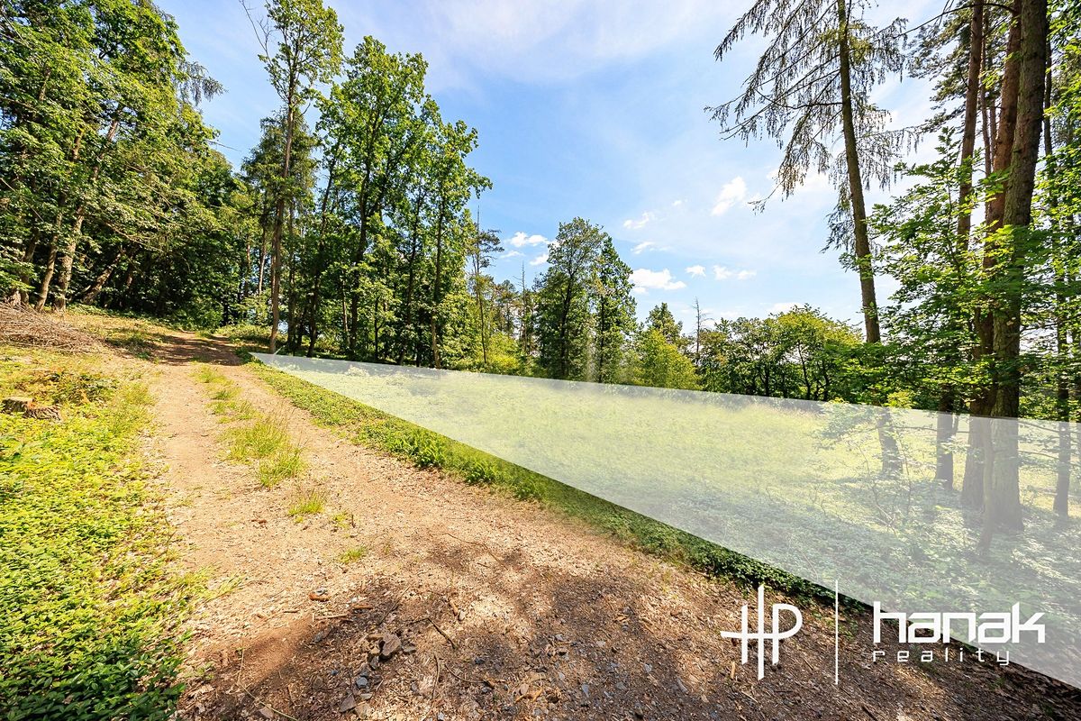 Prodej rodinného domu 127 m², pozemek 3150 m² – fotografie 5