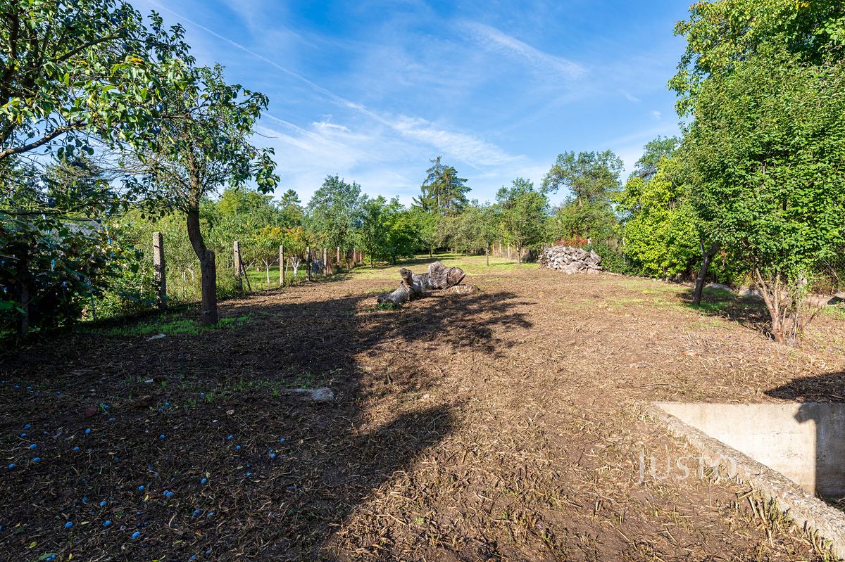 Prodej rodinného domu 102 m², pozemek 1401 m² – fotografie 5