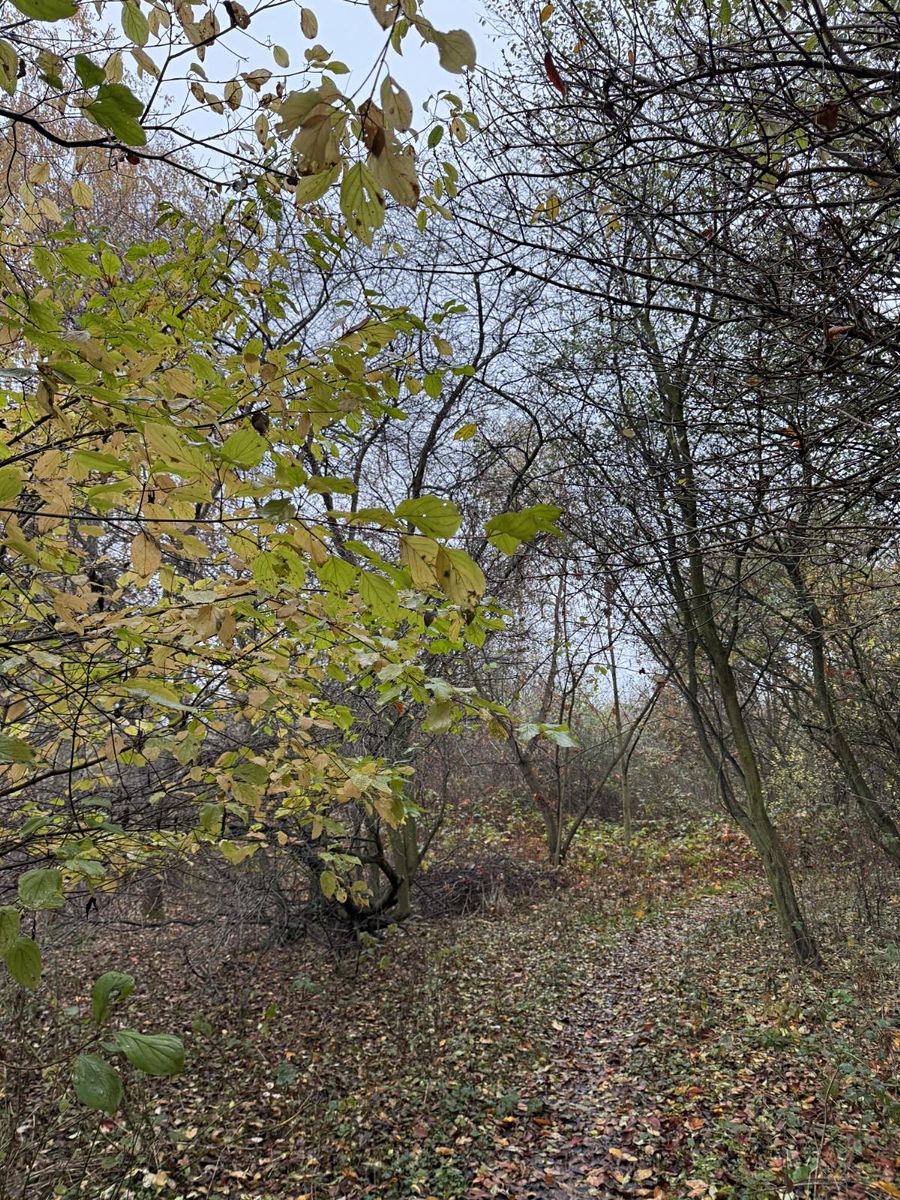 Prodej pozemku 9174 m²