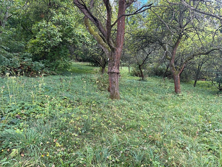 Prodej domu, 200 m² (10 z 24)