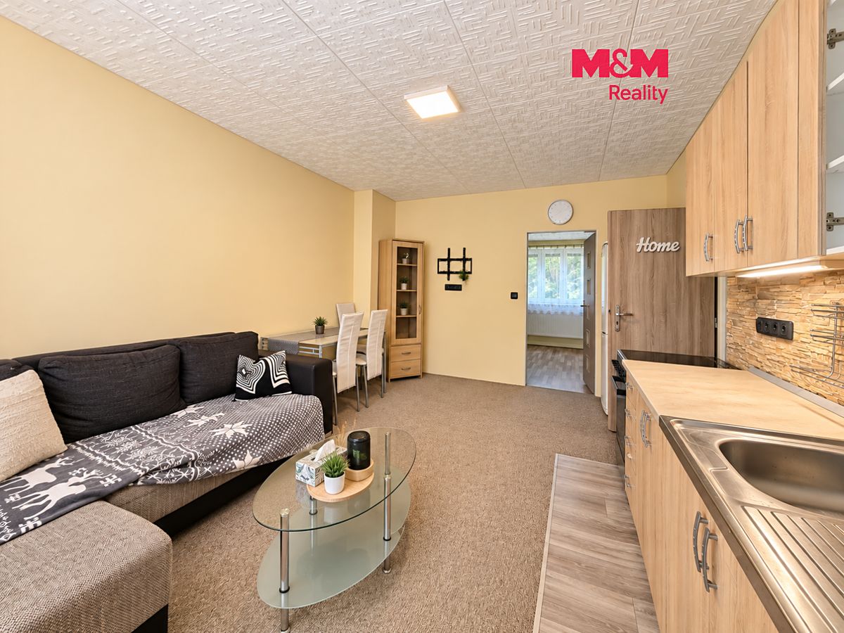Pronájem bytu 1+1 58 m²