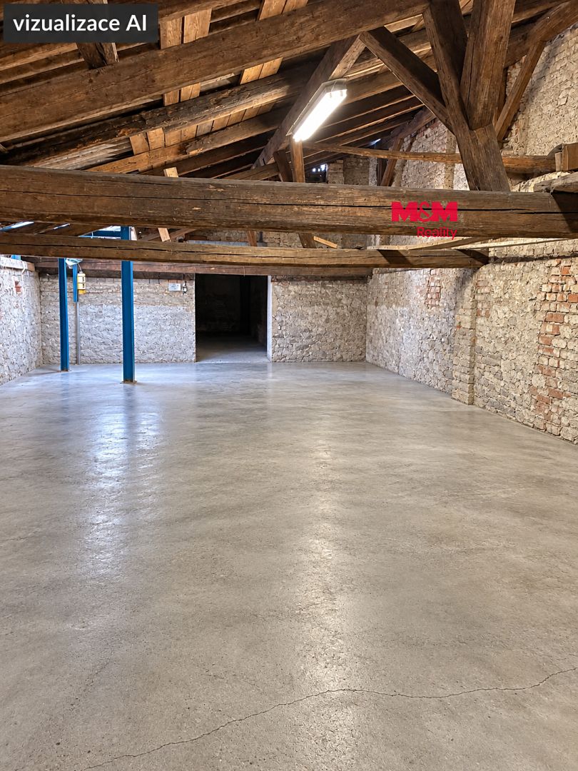Pronájem obchodního prostoru 272 m²
