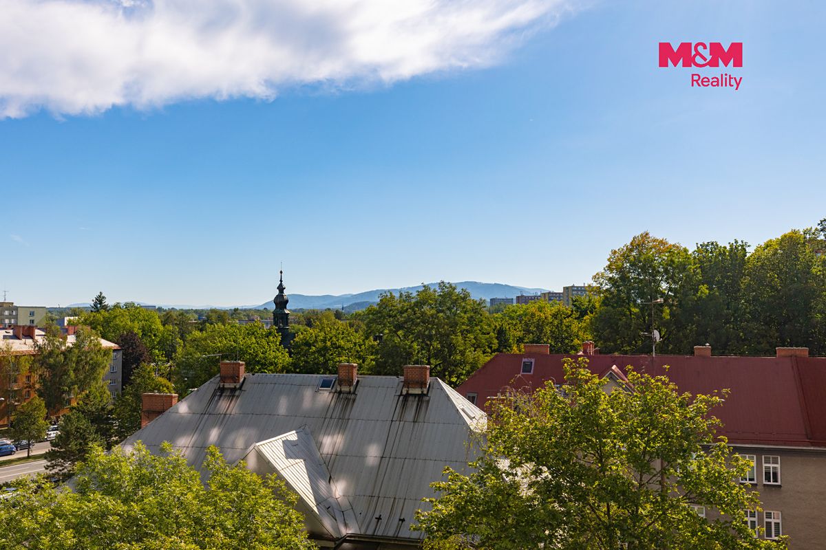 Prodej bytu 1+kk 21 m² – fotografie 5