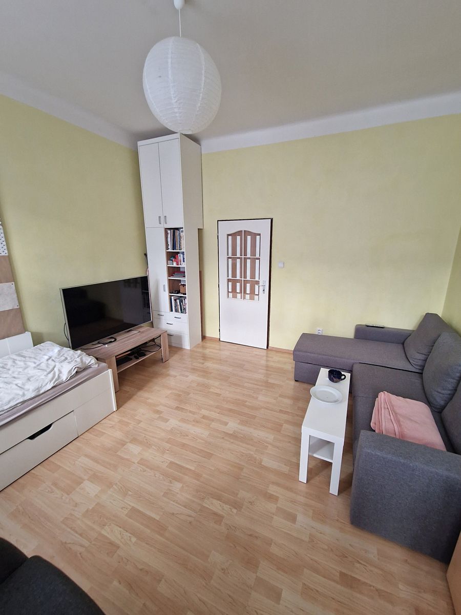 Pronájem bytu 1+1 40 m² – fotografie 3