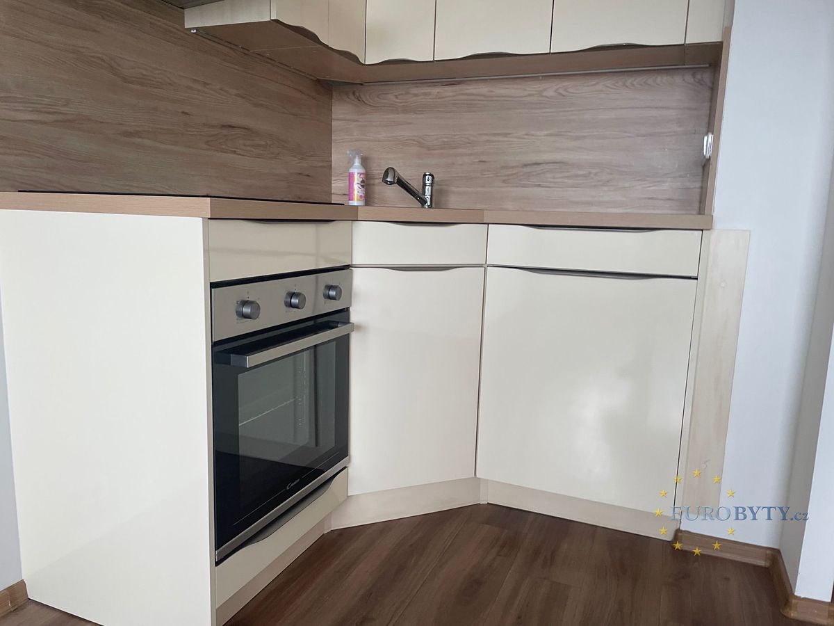 Pronájem bytu 1+kk 31 m² – fotografie 4