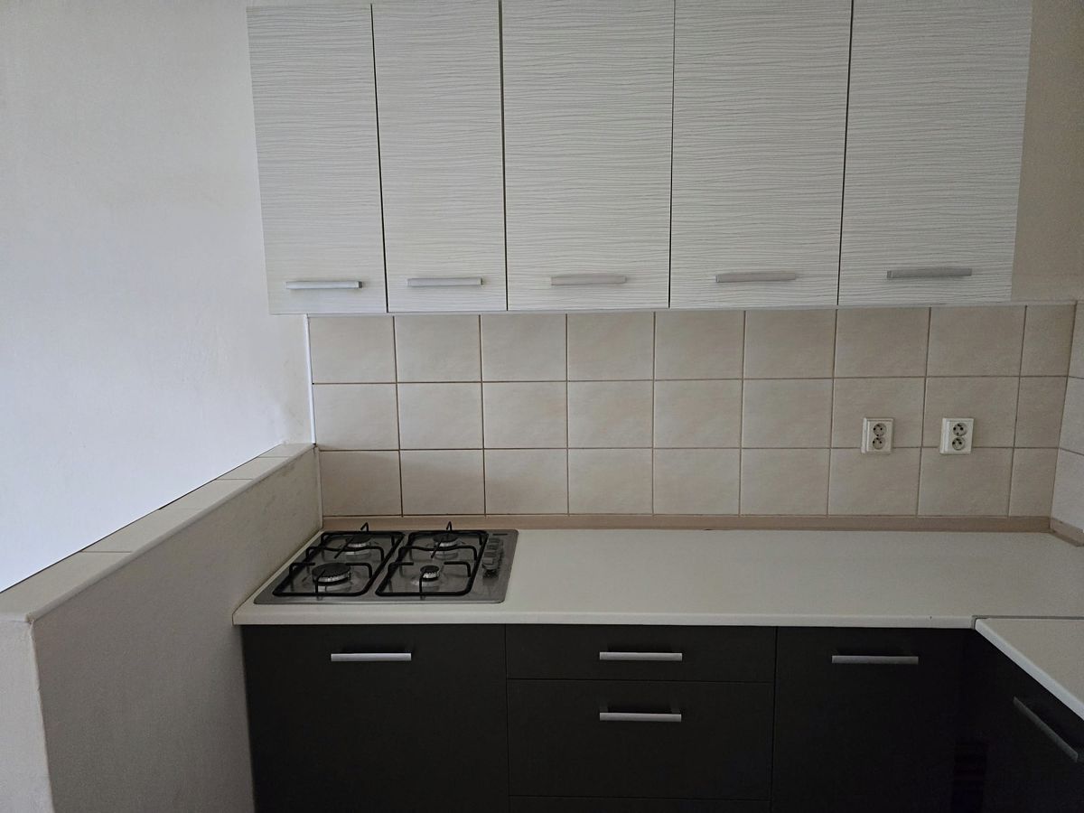 Prodej bytu 2+kk 58 m² – fotografie 3