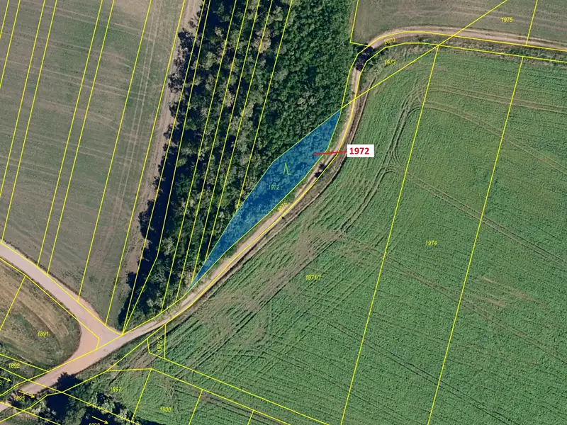Dražba lesa 591 m², Čejkovice – náhled fotky 2
