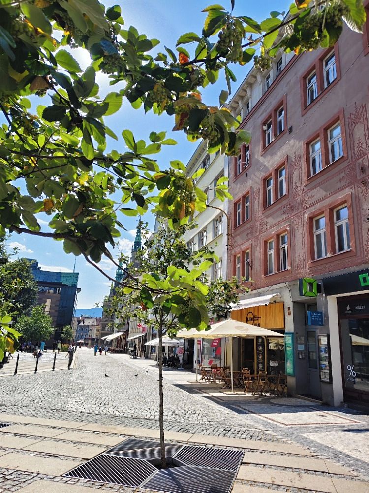 Prodej bytu 2+kk 58 m²