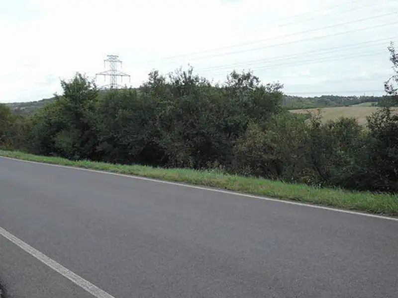 Dražba pozemku 6533 m², Třebichovice – náhled fotky 2