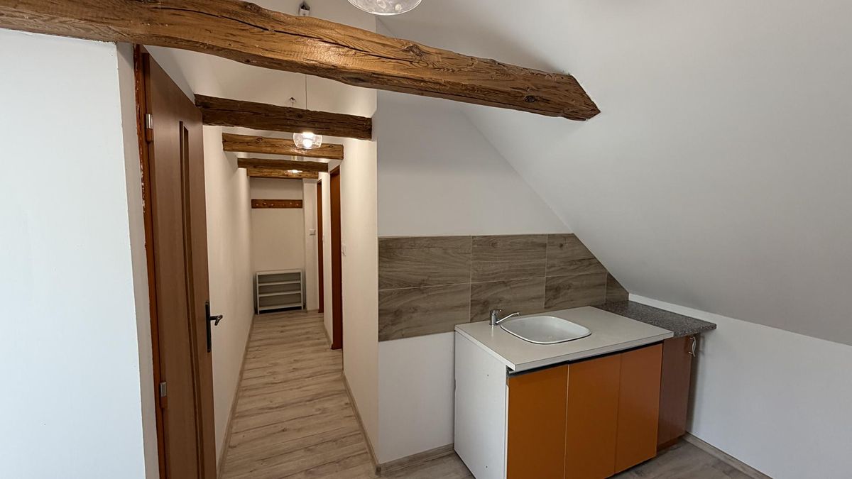 Pronájem bytu 2+1 40 m² – fotografie 5