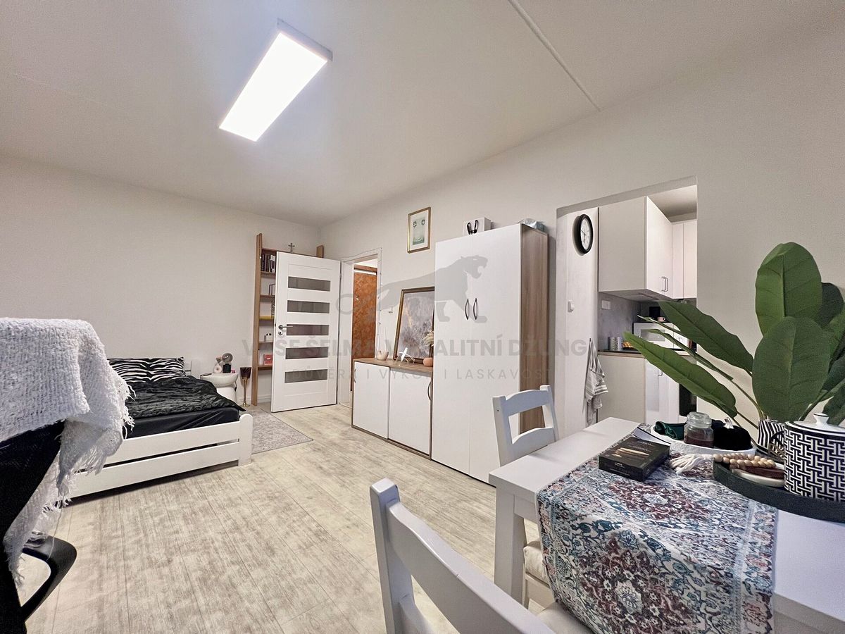 Pronájem bytu 1+kk 30 m²