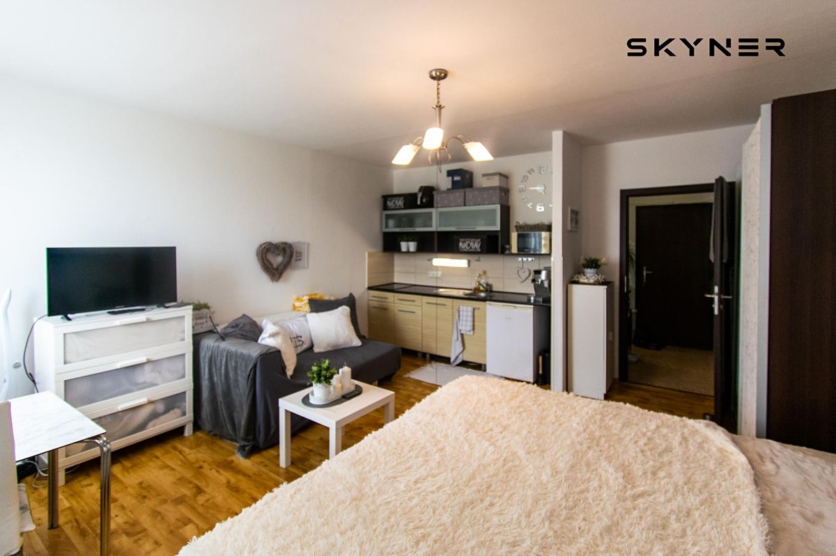 Pronájem bytu 1+kk 32 m² – fotografie 3