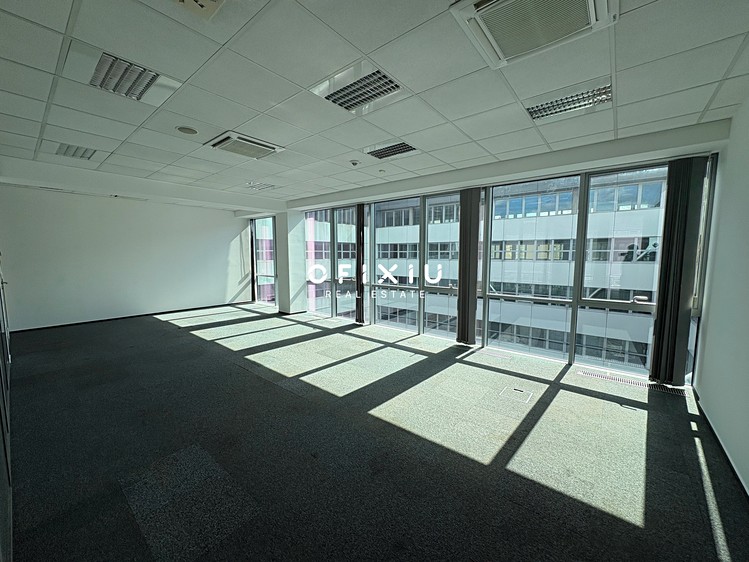 Комерційне приміщення в оренду, 1 006 м² (5 з 14)