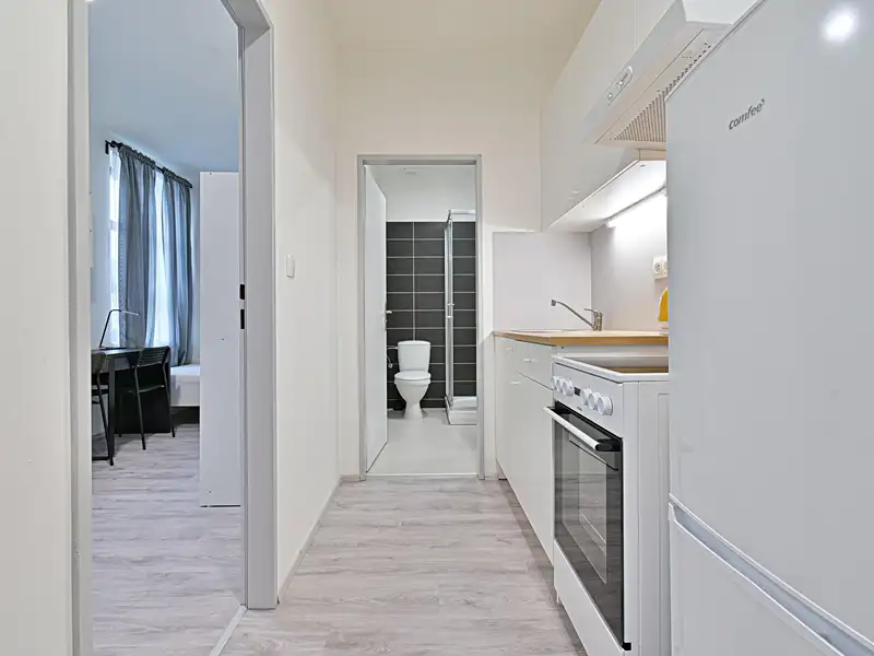 Pronájem bytu 2+1 35 m², Brno – náhled fotky 1