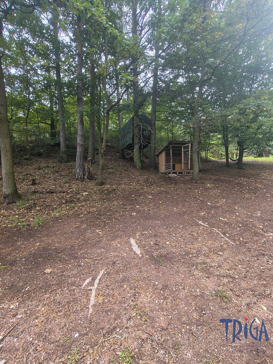 Prodej chaty 25 m², pozemek 5859 m² – fotografie 2