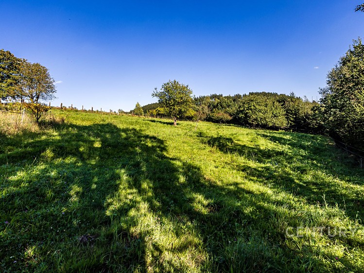 Grundstück zum Kauf, 5.065 m² (4 von 10)