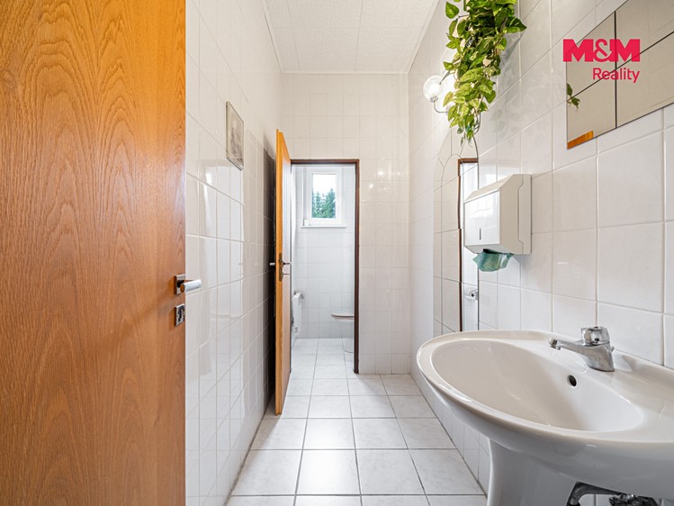 Будинок на продаж, 700 м² (14 з 30)