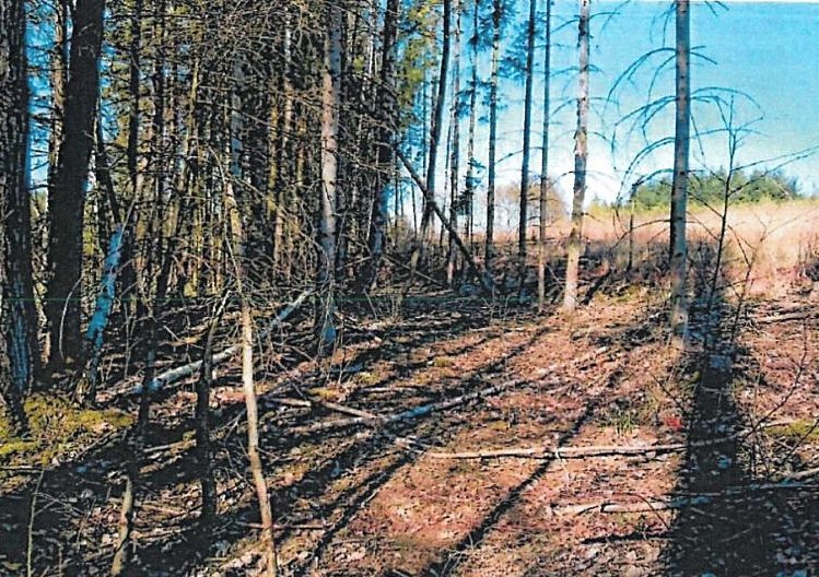 Grundstück zum Kauf, 333 m² (1 von 4)