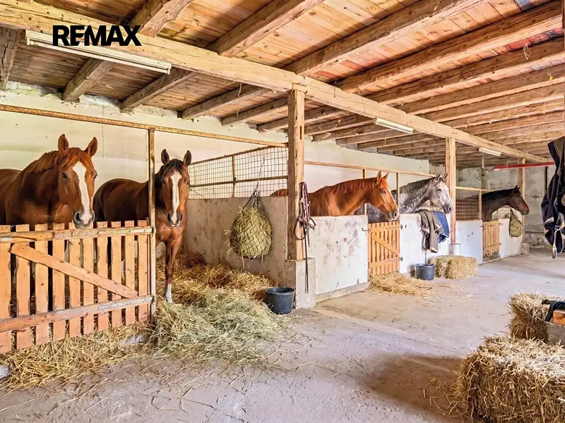 Prodej rodinného domu 1230 m², pozemek 1230 m², Velký Šenov – náhled fotky 2