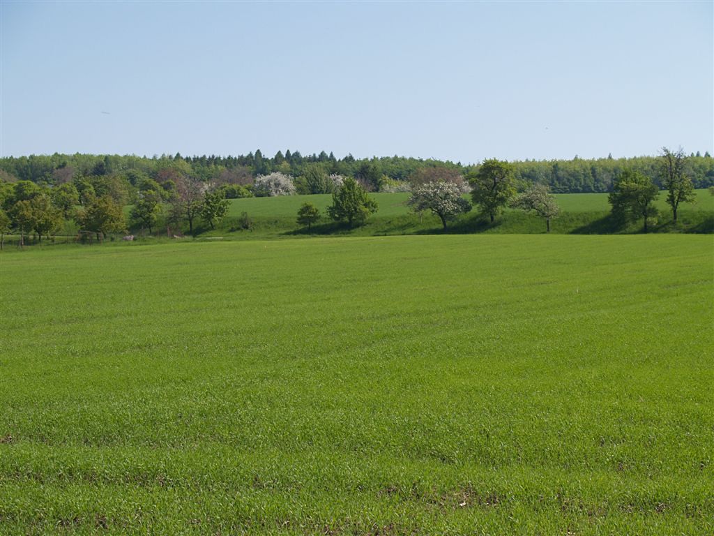 Prodej památky 4500 m², pozemek 10000 m² – fotografie 5