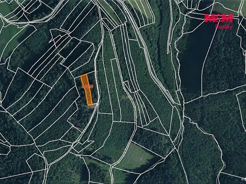 Prodej lesa 1205 m², Lhota u Vsetína – náhled fotky 3