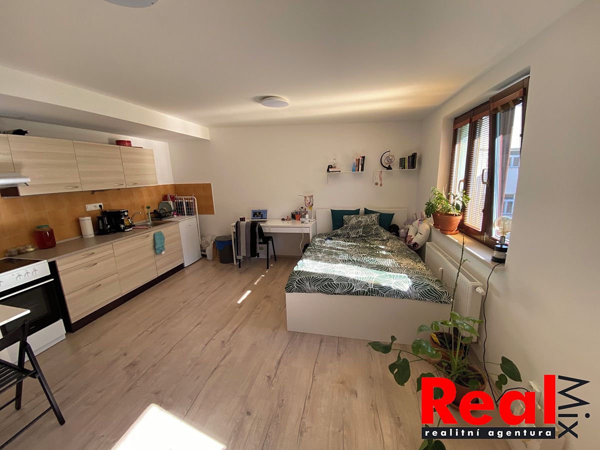 Pronájem bytu 1+kk 30 m² – fotografie 3