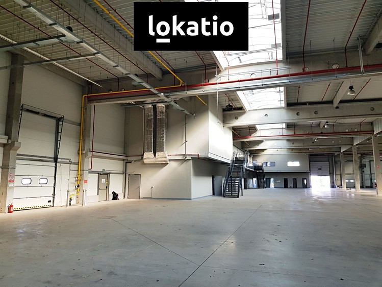 Ostatní