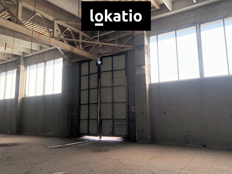 Pronájem komerčního prostoru, 3 000 m² (4 z 13)