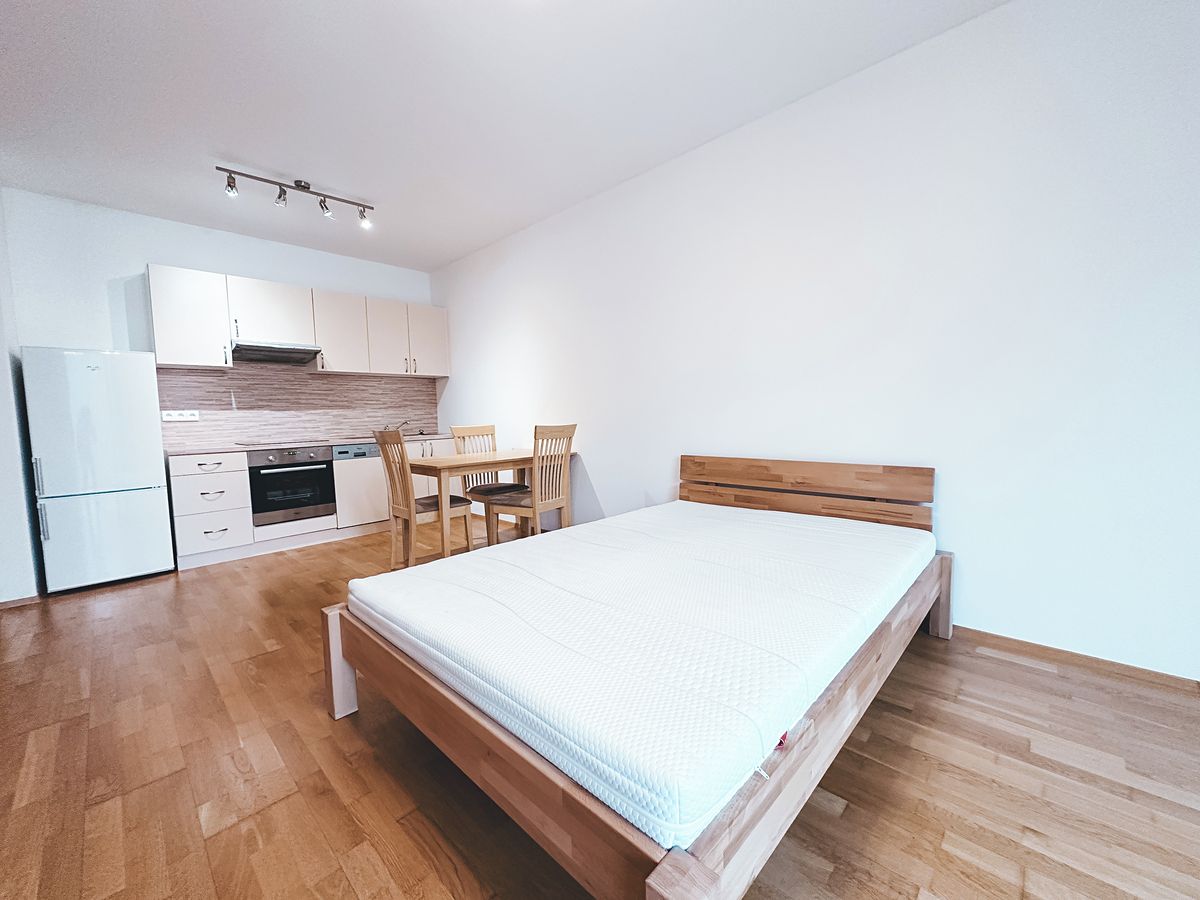 Pronájem bytu 1+kk 53 m² – fotografie 3