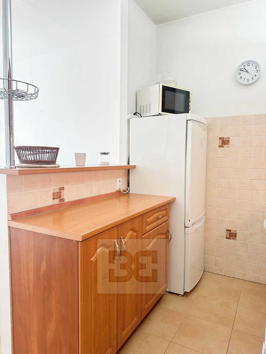 Pronájem bytu 1+kk 24 m² – fotografie 3