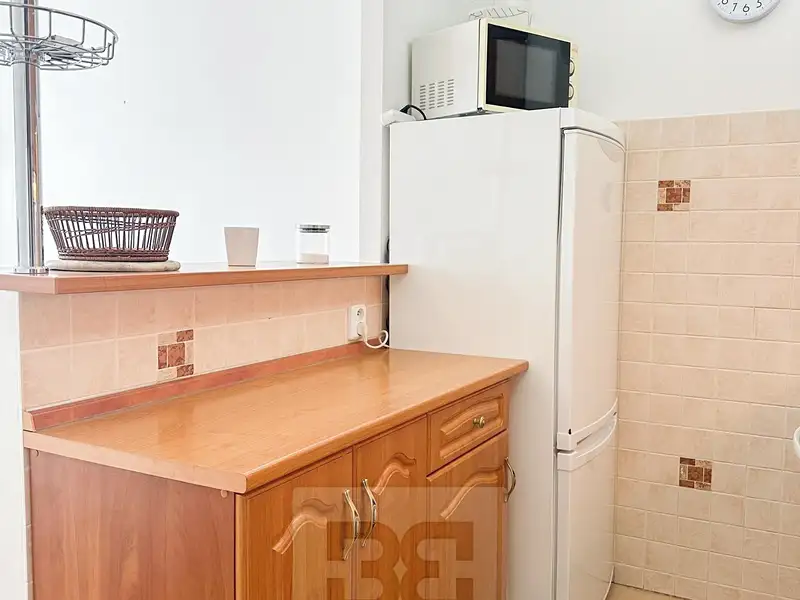 Pronájem bytu 1+kk 24 m², Praha – náhled fotky 3