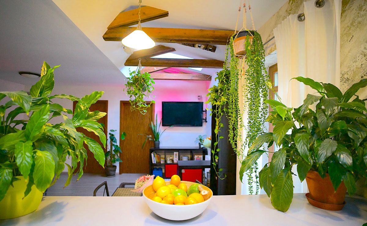 Pronájem bytu 3+kk 71 m²