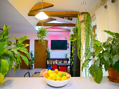 Pronájem bytu 3+kk 71 m²