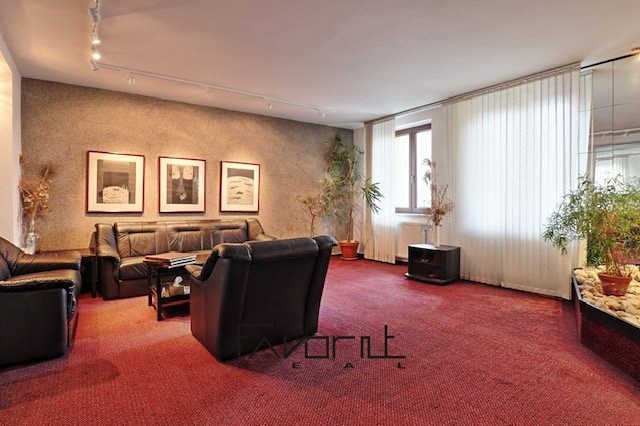 Gewerbefläche zum Kauf, 225 m² (5 von 28)