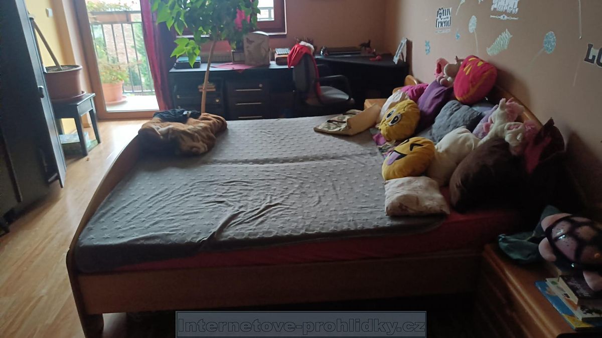 Pronájem bytu pokoje 29 m² – fotografie 2
