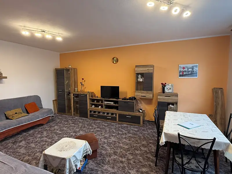 Prodej rodinného domu 290 m², pozemek 6522 m², Rudíkov – náhled fotky 3