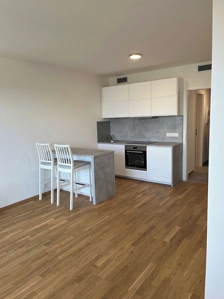 Pronájem bytu 1+kk 39 m² – fotografie 4