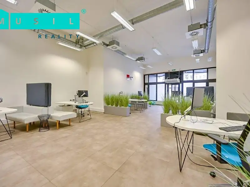 Pronájem obchodního prostoru 300 m², Olomouc – náhled fotky 2