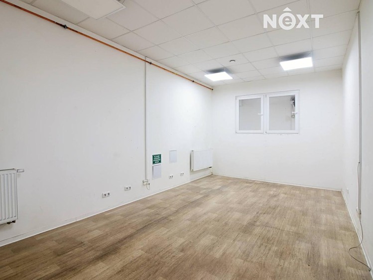 Pronájem komerčního prostoru, 3 100 m² (31 z 36)