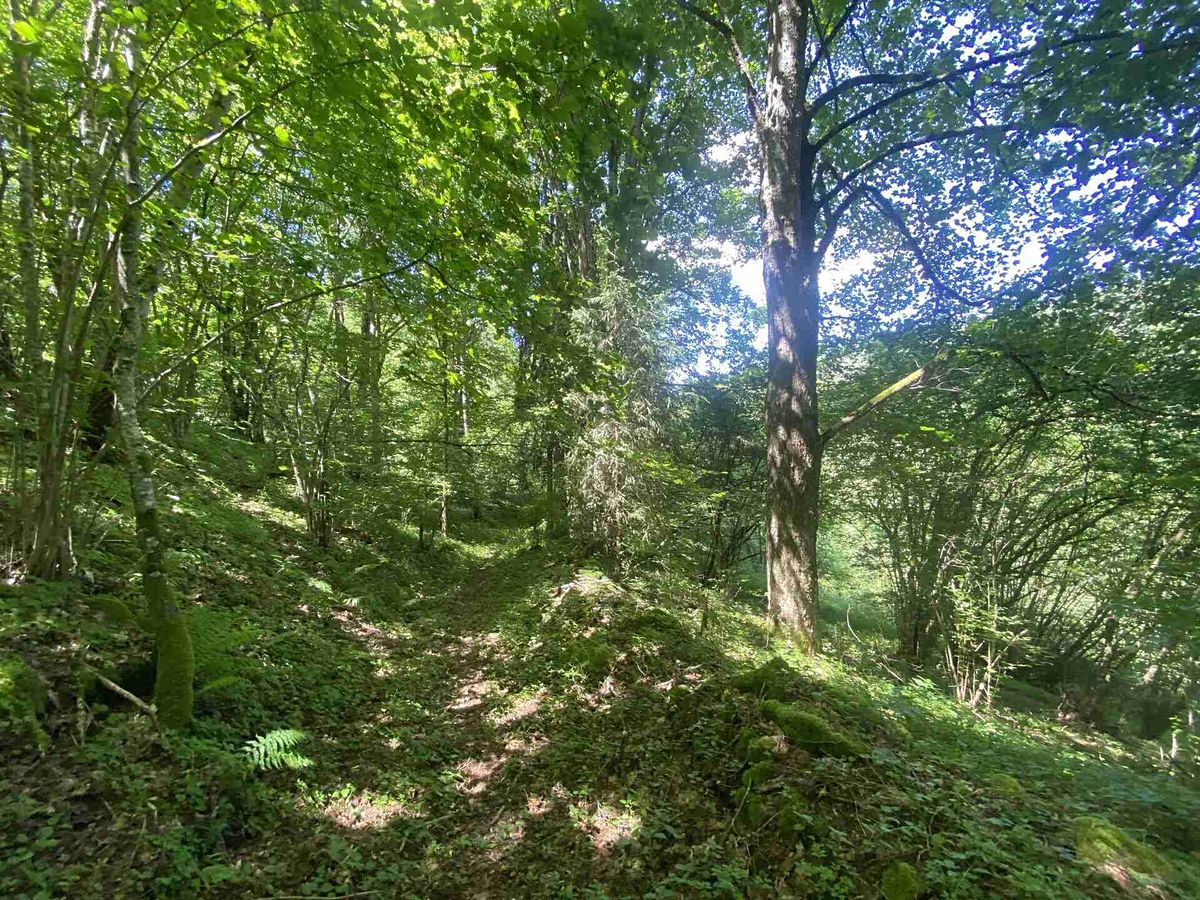 Prodej pozemku 3924 m² – fotografie 4