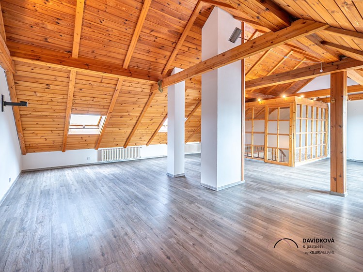 Prodej domu, 340 m² (15 z 23)