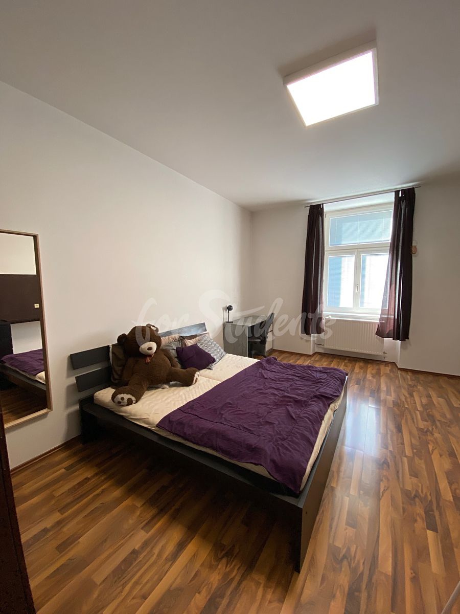 Pronájem bytu 2+1 60 m² – fotografie 2