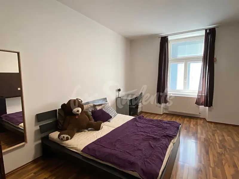 Pronájem bytu 2+1 60 m², Hradec Králové – náhled fotky 2