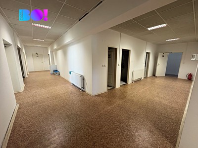 Pronájem komerčního prostoru, 960 m² (3 z 14)