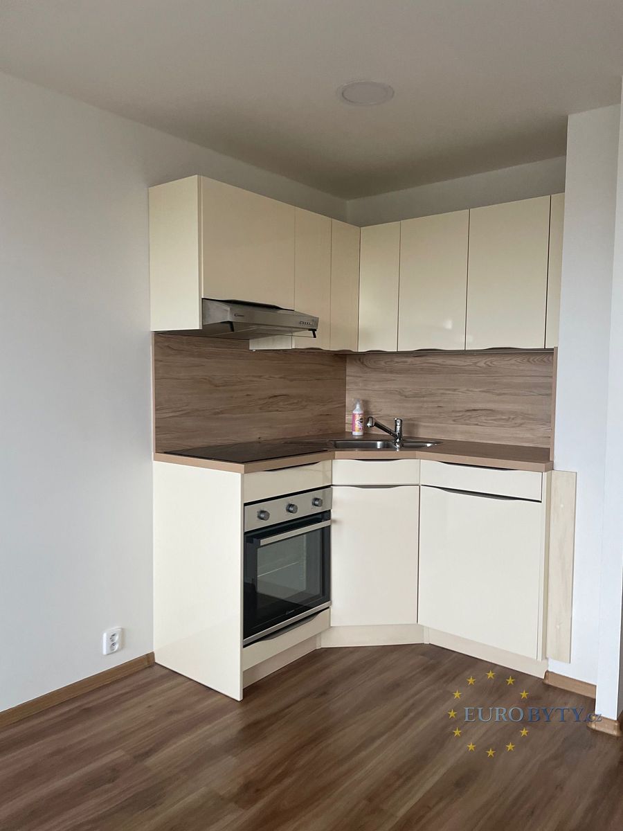 Pronájem bytu 1+kk 31 m² – fotografie 3