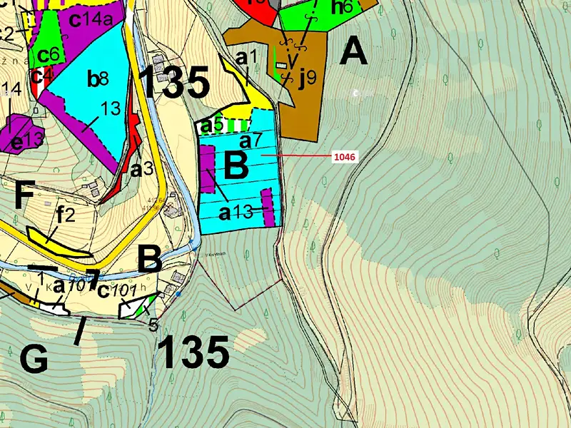 Dražba lesa 2432 m², Vír – náhled fotky 3