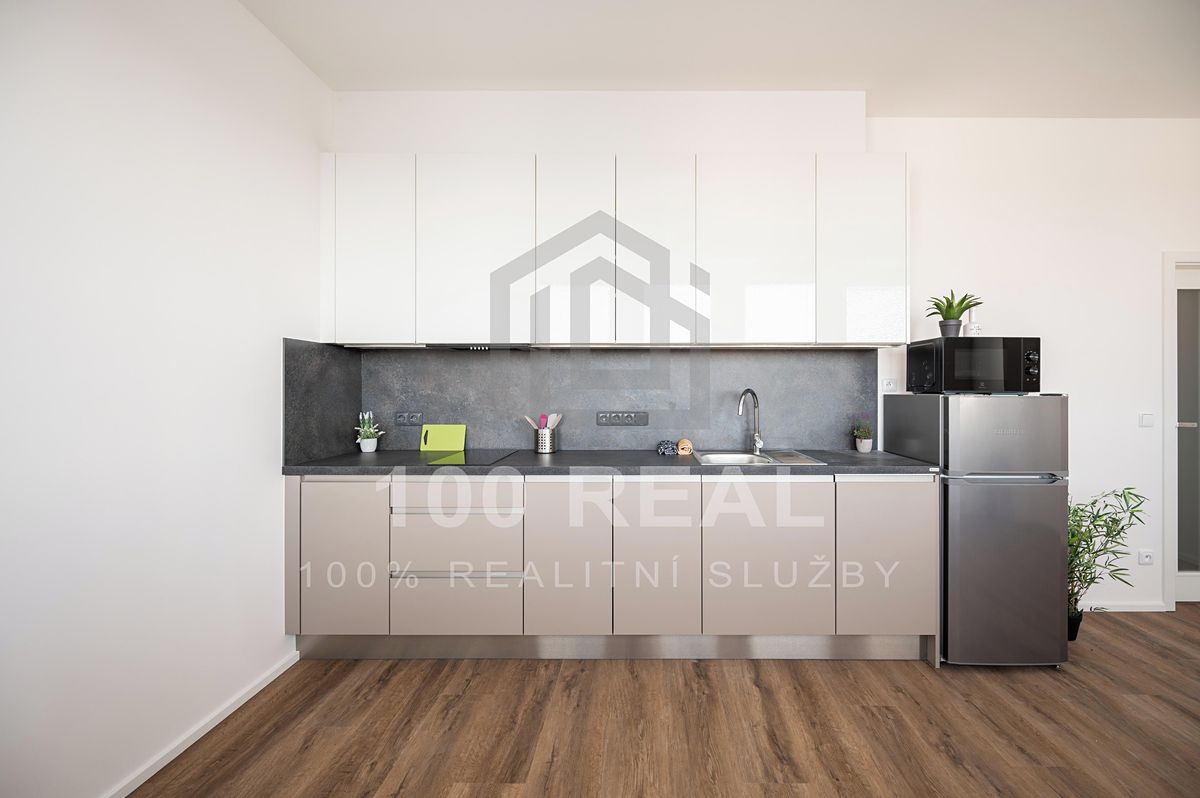 Pronájem bytu 1+kk 29 m² – fotografie 3