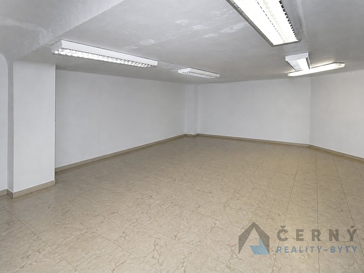 Prodej komerčního prostoru, 266 m² (6 z 12)
