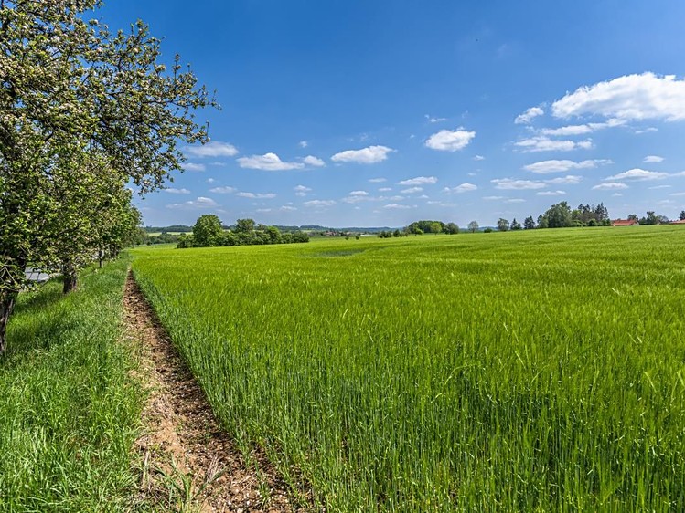 The Plot for sale, 805 m² (1 of 11)